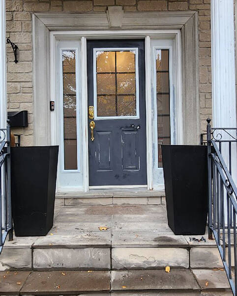 Vibe wrought iron door insert, installed (photo 4)