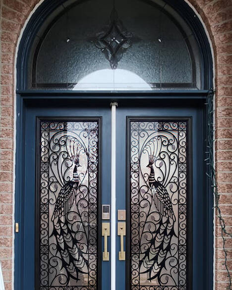 Elegance laser cut iron door insert, installed (photo 6)