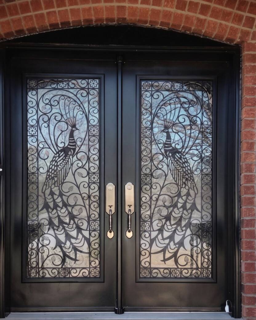 Elegance laser cut iron door insert