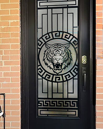 Tigris wrought iron door insert, installed (photo 10)